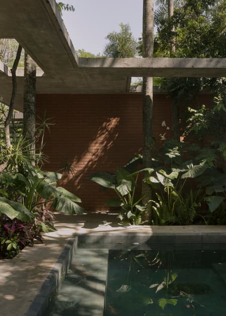 A Forest in the House